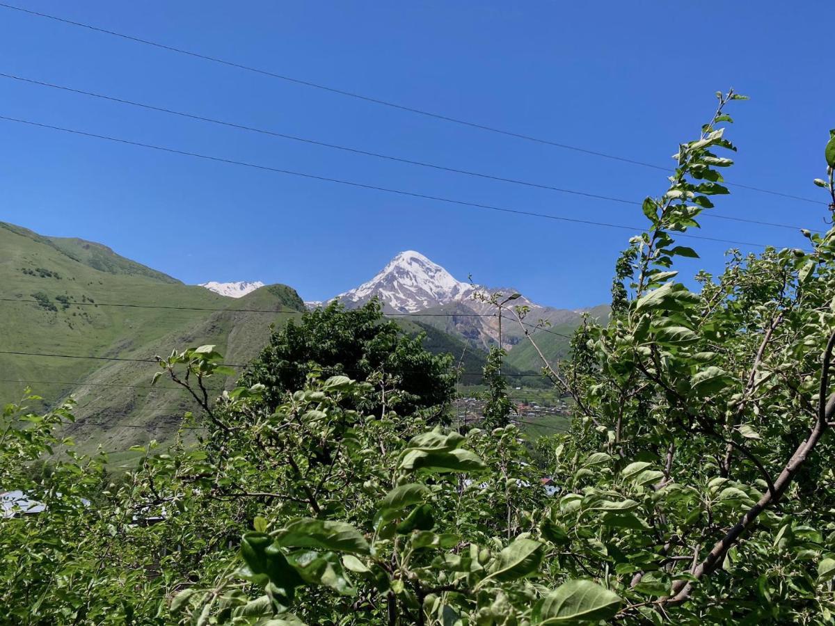 Geo Inn 卡兹贝吉 外观 照片